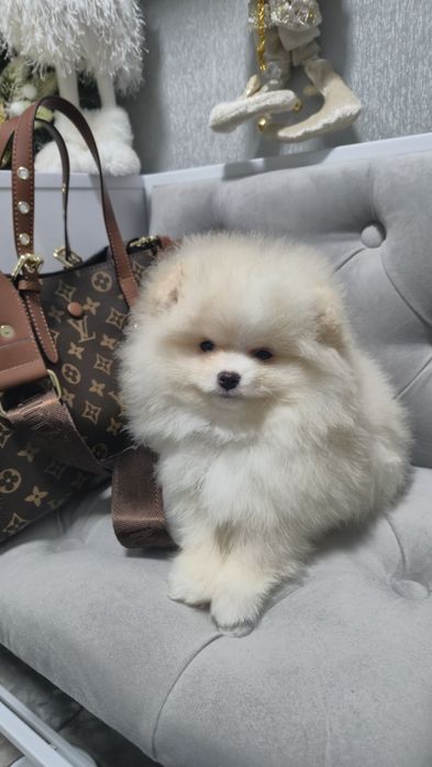 Гарненький хлопчік