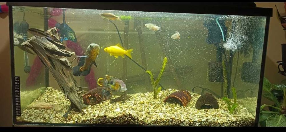 Sprzedam akwarium-120 litrów.