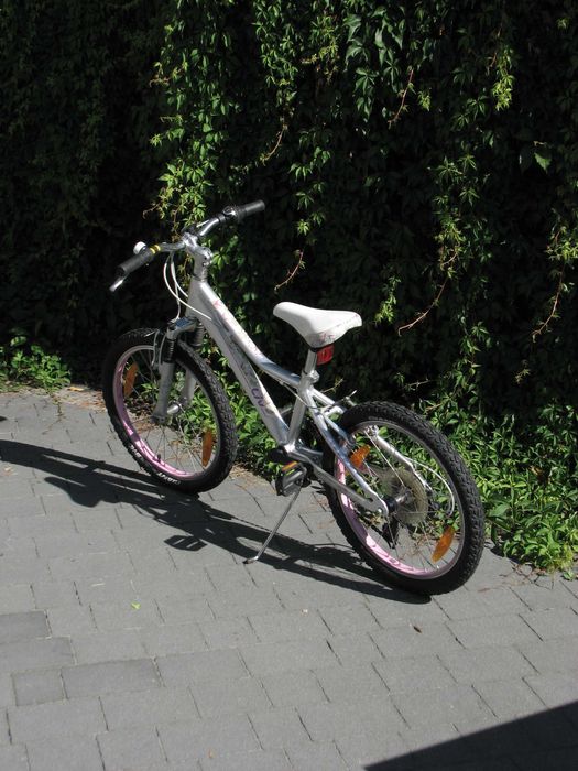Giant Liv Areva 20"