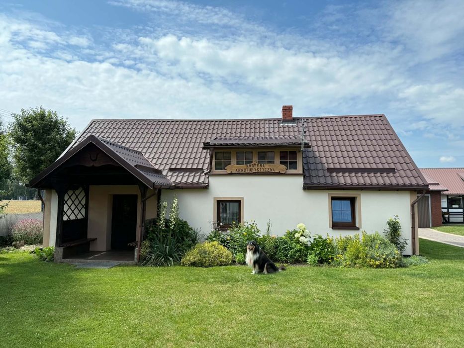Domek do wynajęcia nad jeziorem