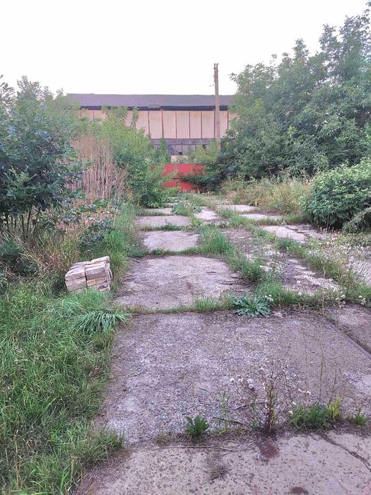 Продаж виробничо-комерційного приміщення в  (Багачеве).