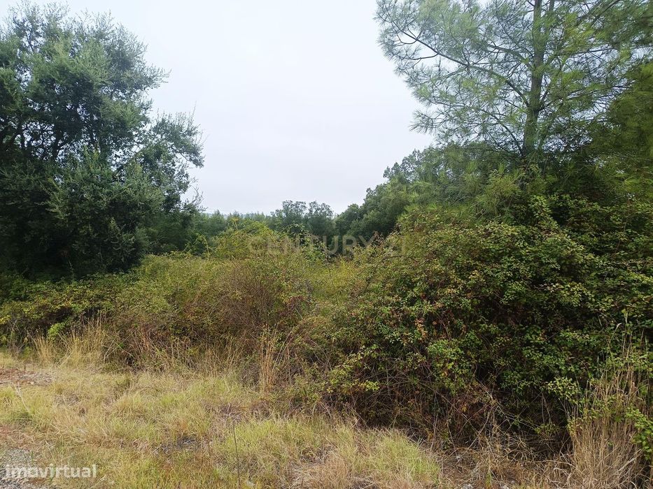 Terreno à Venda em Barca Nova, Tomar – 5.680 m² de Oportunidade! — São Pedro de Tomar, Santarém