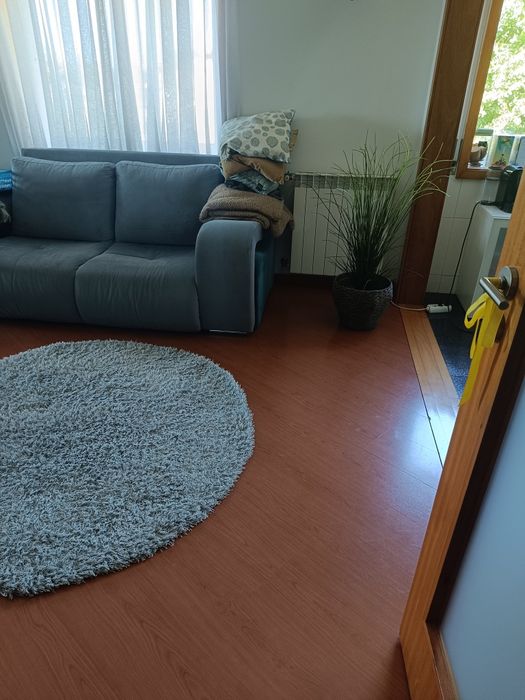 Circular Plush Rug64751087379202121