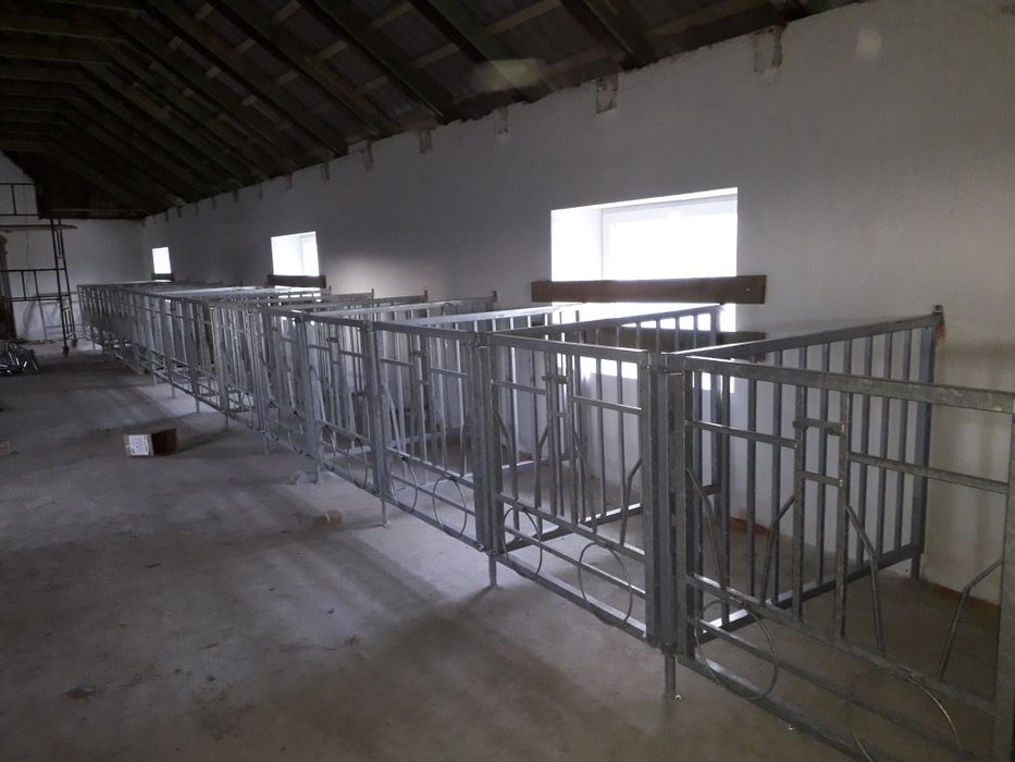 Kojce boksy dla cieląt budka iglo