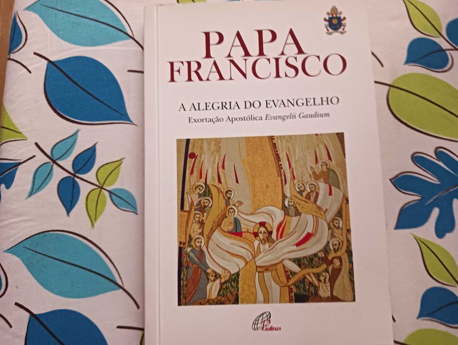 A Alegria do Evangelho – Exortação Apostólica do Papa Francisco