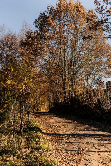 Domek 6 os. nad jeziorem Narie | blisko jeziora | duża działka | spokojna okolica