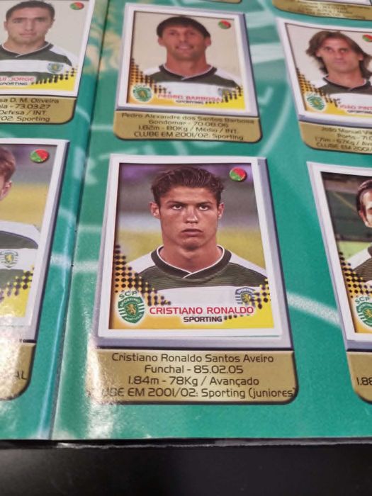 Panini 2002 2003