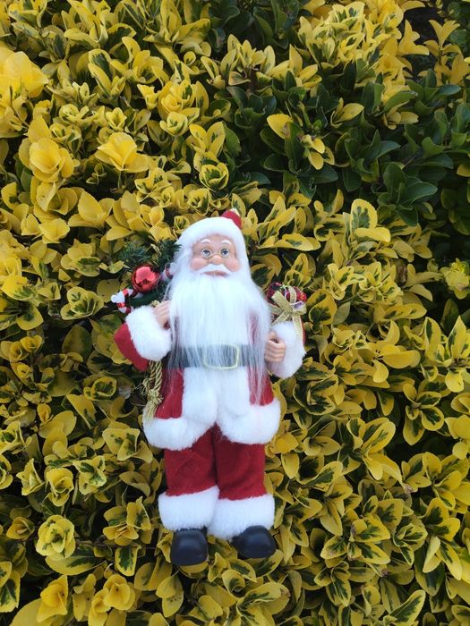 Pai natal com 30 cm