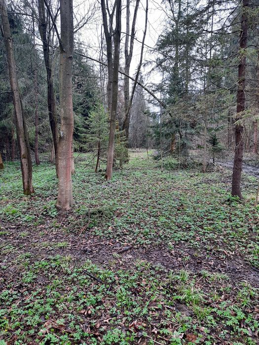 Sprzedam działkę w Białce Tatrzańskiej za wodą 1722m²
