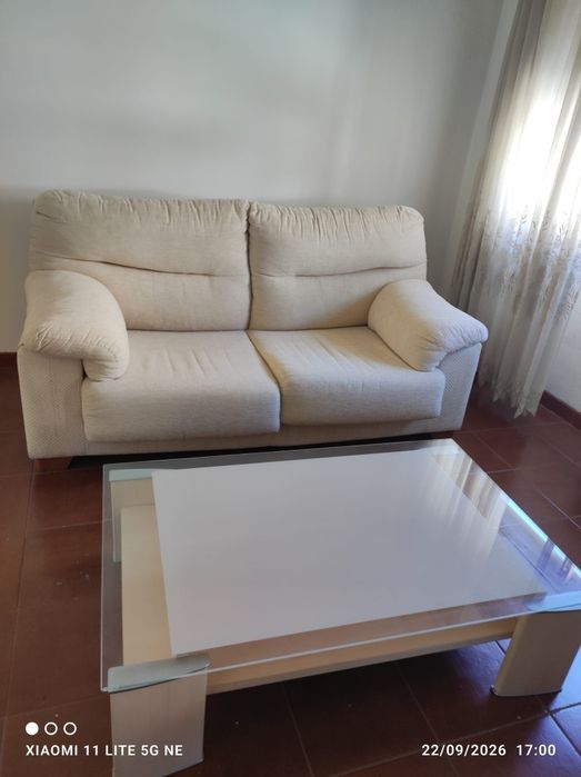 Sofá + mesa de centro