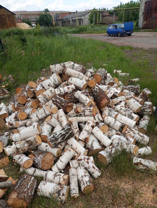 Продам дрова різних порід