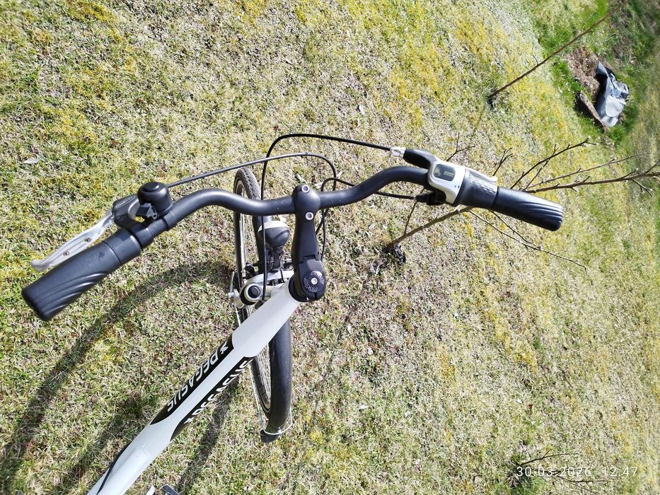 Rower miejski Pegasus