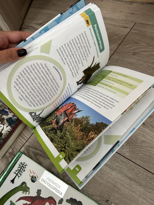 Książki o dinozaurach + puzzle