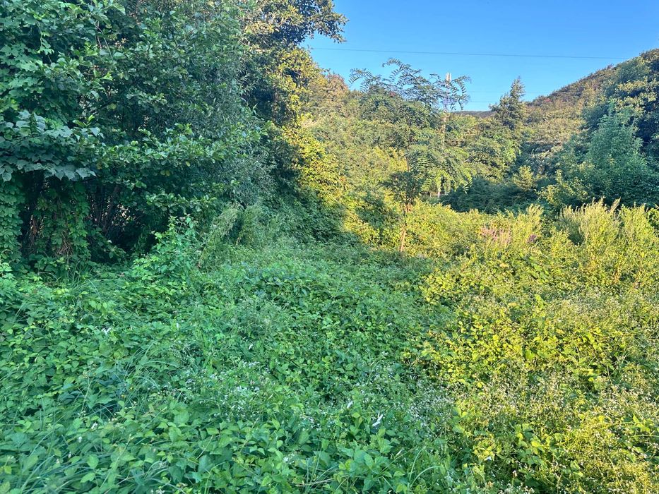 Продаж ділянки під лісом (район ресторану "Камелот")