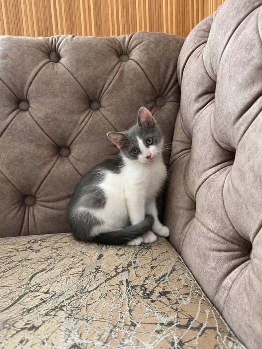 Хлопчик близько 3 місяців