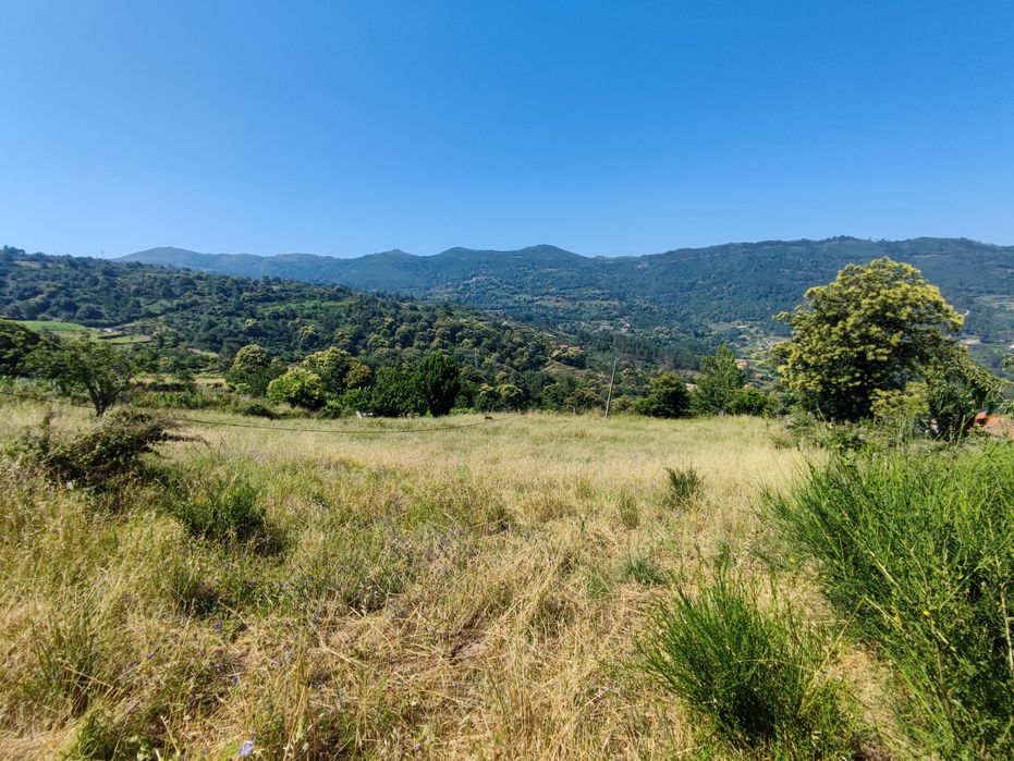 Quintinha no Douro Sul (Ferrós de Resende)