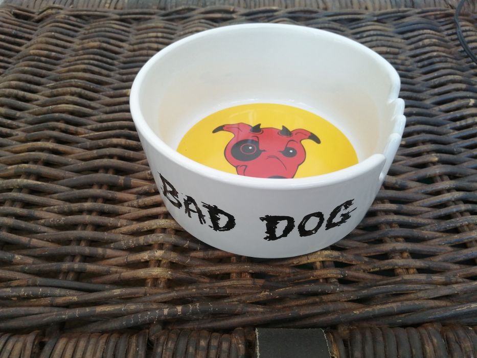 American-style cereal bowl426581622407178241