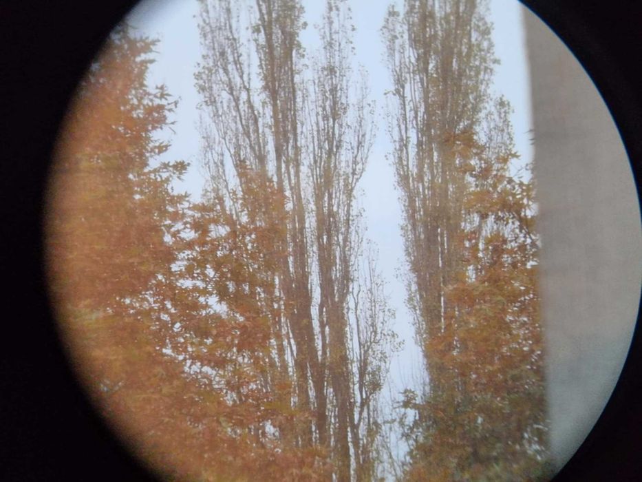 Lornetka CARL ZEISS Jena 10x50 multi-coated KULTOWA; rzadki model!