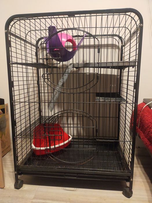 duża klatka dla gryzoni 64×43,5×92,5
