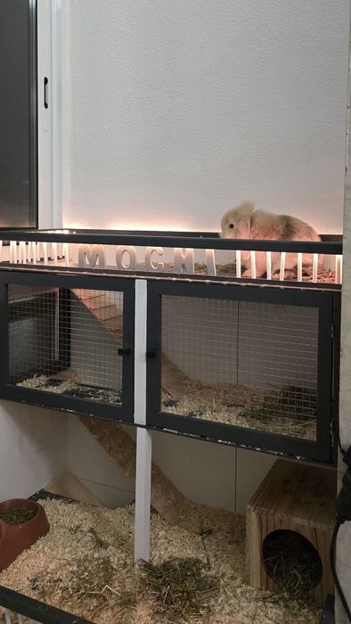 Casas personalizadas hamster/coelho/porquinhos da Índia