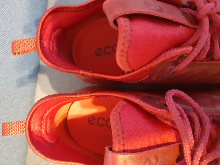 Buty Ecco rozmiar 36