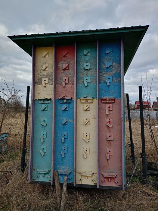 Бджоло павільйон