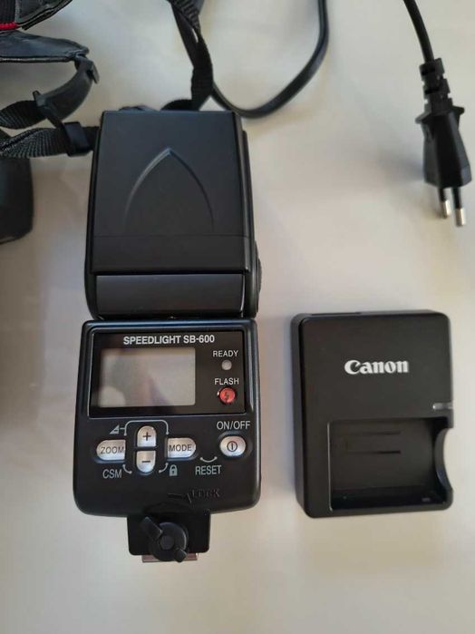 Aparat cyfrowy Canon EOS 100D (ds126191) - Zestaw