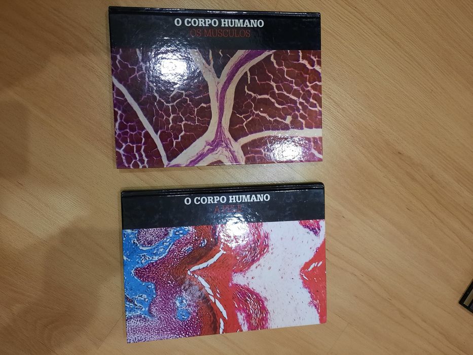 Livros - O CORPO HUMANO