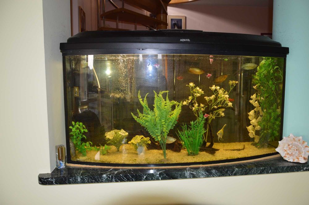 Akwarium 150 L z wyposażeniem.