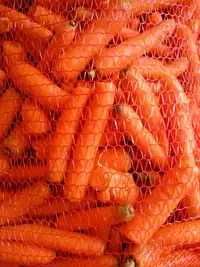 Marchew odpadowa płukana