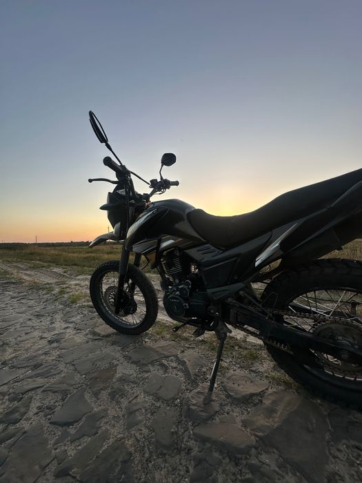 Продам Лонкін прус 200