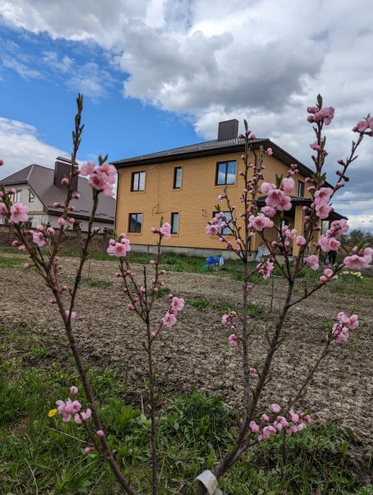 Будинок - мрія , 5 км від Рівного