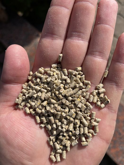 Кукурудзяний наповнювач 3 мм 10 кг