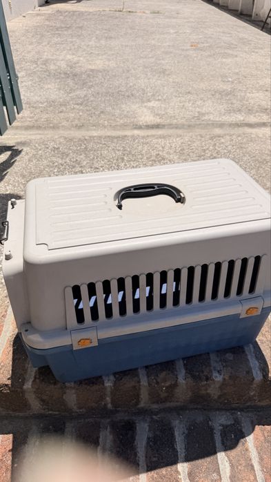 Vendo caixa transporte para cães