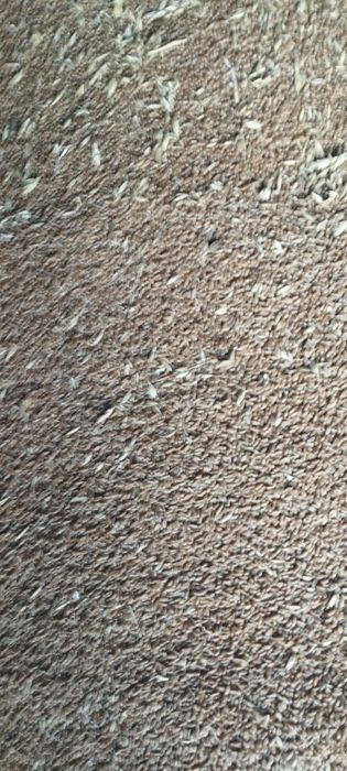 Продам пшеницю...