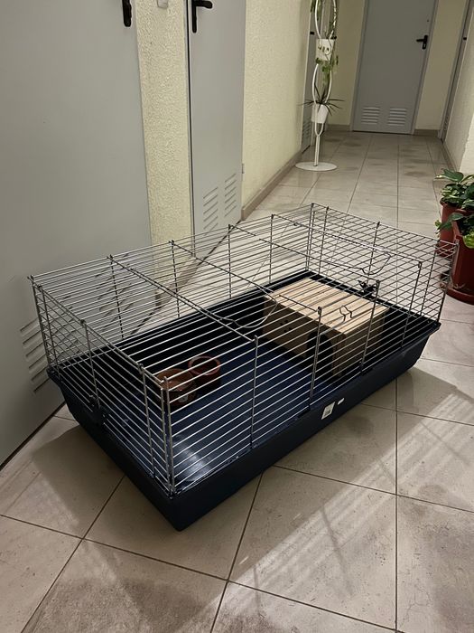 Vendo gaiola para coelho nova