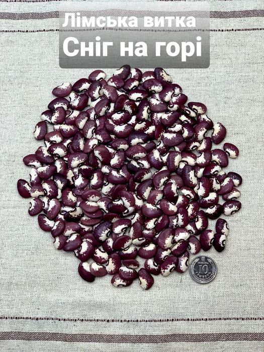 Квасоля Лімська насіння