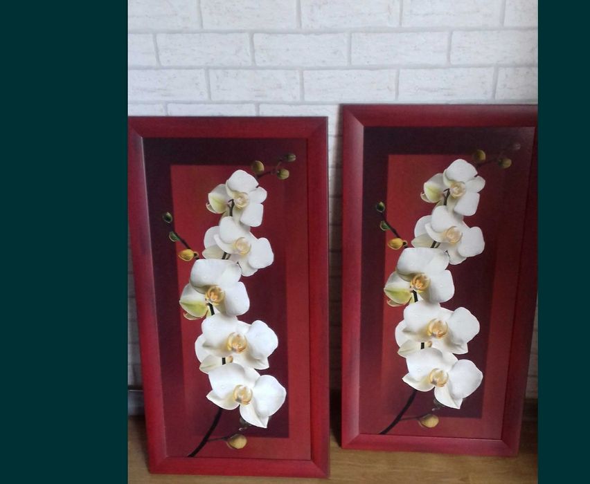 Storczyki dwa obrazy