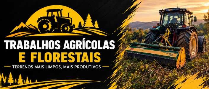 Limpeza de Terrenos e Trabalhos com Trator - Ourém