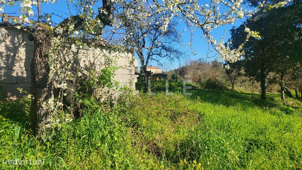 Terreno  Venda em Préstimo e Macieira de Alcoba,Águeda