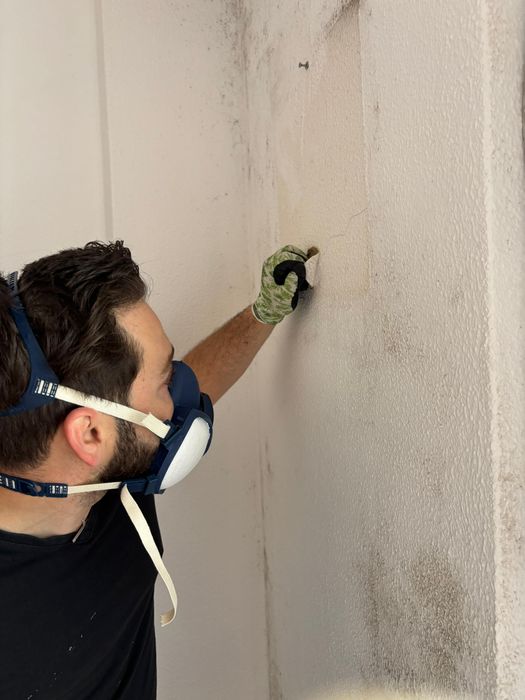 Remoção Profissional de Bolor e Mofo | Professional Mould Removal | Algarve
