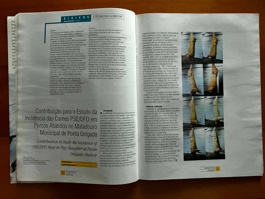 Revista Veterinária Técnica Dez.1995