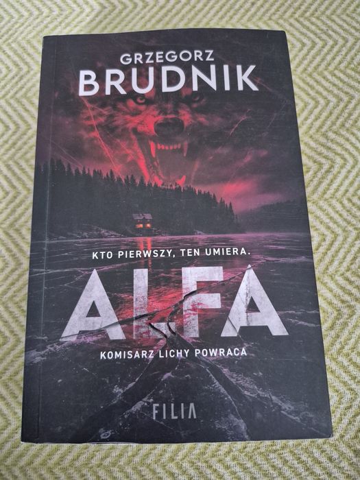 Grzegorz Brudnik  Alfa