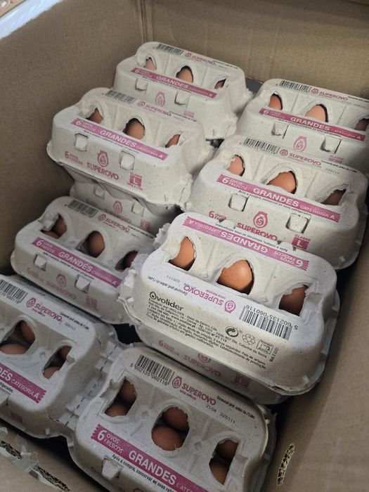 Ovos tamanho L 30 un ou 60 un