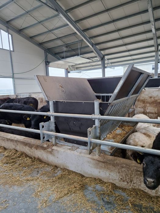 Paśnik dla Bydła/Solidna/Duży 8500 netto