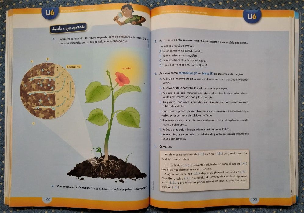 "Natura 6 Natural Sciences 6th Grade" Textbook + Activity Workbook + CD-ROM64286395703041124