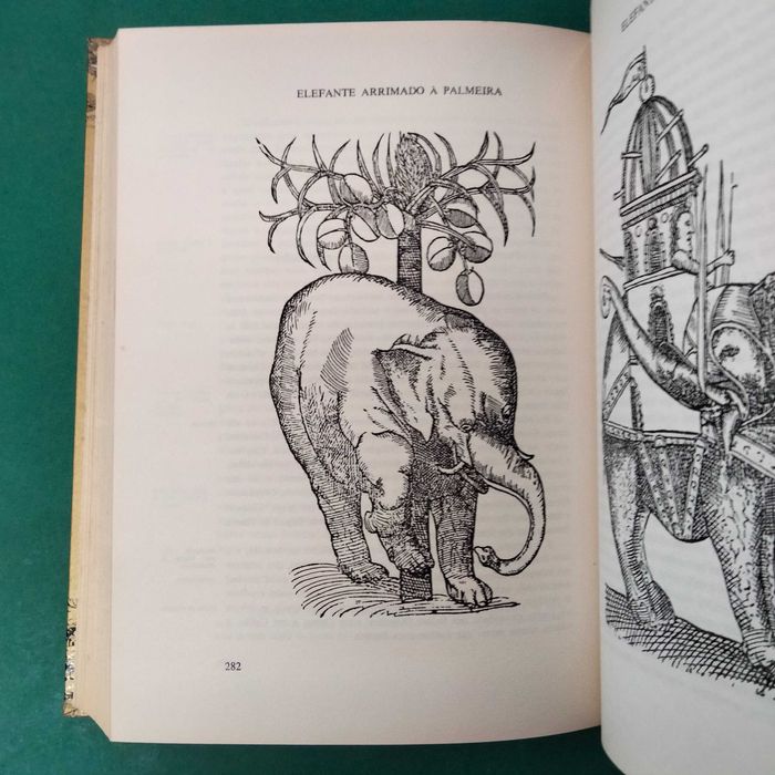 Tratado das Drogas e Medicinas das Índias Orientais - C. da Costa
