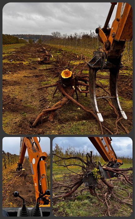 Usługi Koparko-Ładowarką