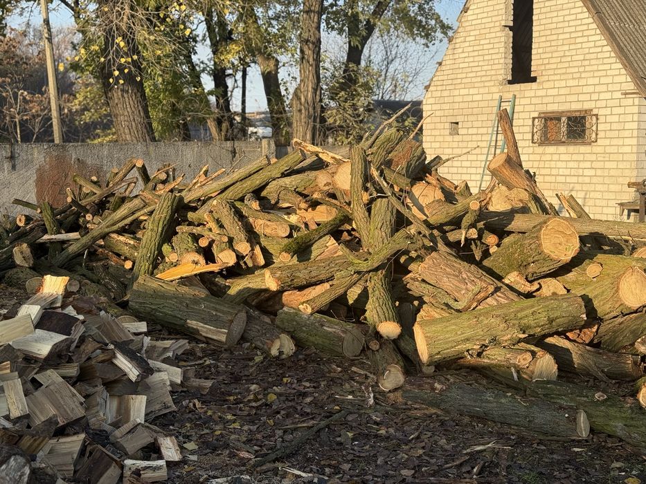 Дрова акации, акация