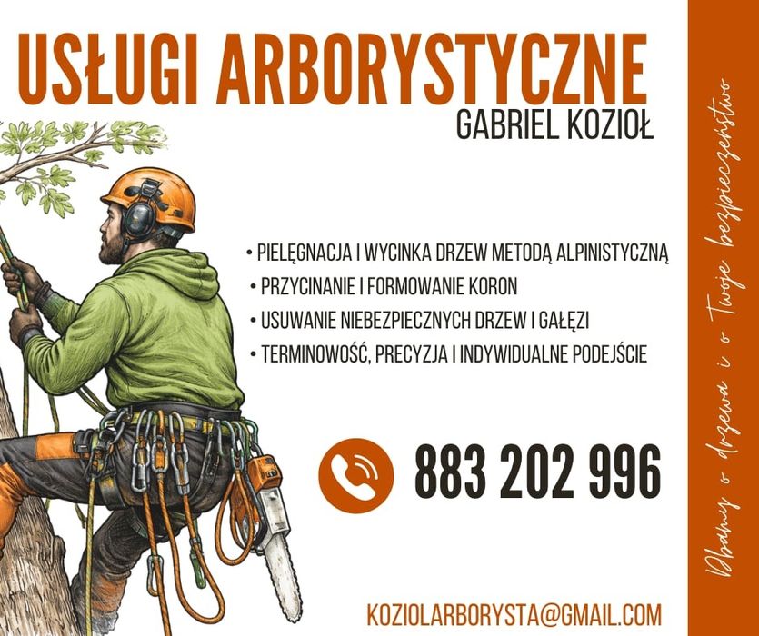 Pielęgnacja wycinka drzew trudnodostępnych niebezpiecznych arborysta